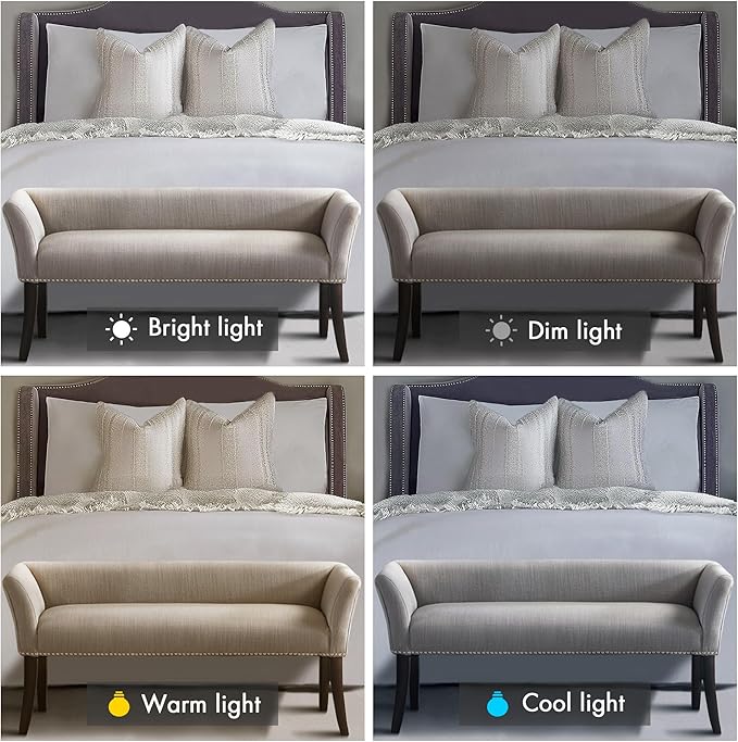 Madison Park Accent Bench, Upholstered with Nailhead Trim, & Padded Seat Entryway Bench Small, End of Bed Bench with Back, 49.5" W x 19.25" D x 23" H, Grey