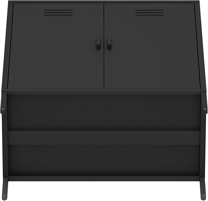 Manhattan Comfort Naomi Modern Metal Accent Cabinet, Minimalist Storage Cabinet with Doors & Adjustable Shelves, Vented Doors, Sturdy Steel Build, Versatile & Multi-Purpose Home Furniture, Black