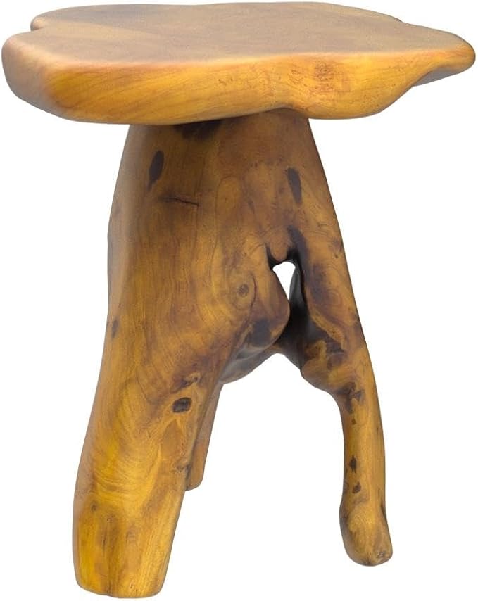 Small Side Table, Unique Design Live Edge Wood Stool, Freeform Natural Plant Stand for Garden, Yard, Living Room, Bedroom