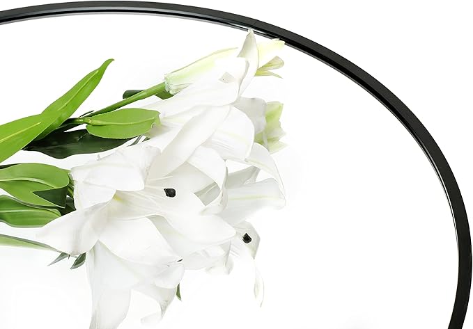 FrameWorks 20" Deluxe Contemporary Black Circular Aluminum Mirror