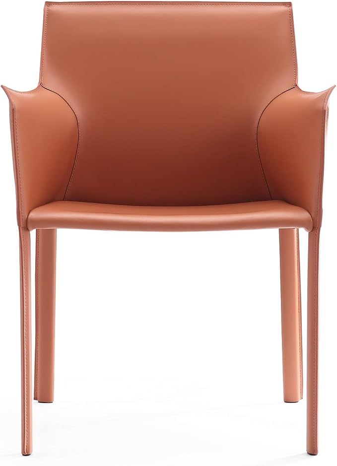 Manhattan Comfort Paris Modern Saddle Leather Dining Chairs, Metal Frame, Comfortable Padded Seat, Fully Assembled Armchair Accent Furniture, Set of 2, Clay