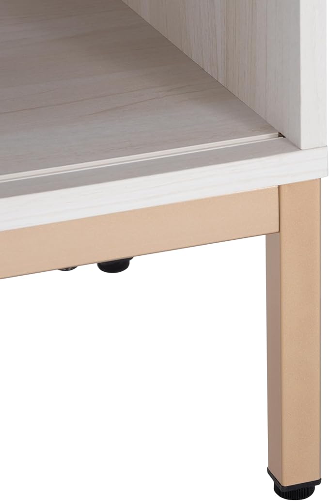 SAFAVIEH Lylia TV Stand for up to 55" Flatscreen – White with Gold Legs & Handle, 1 Sliding Door, 1 Open Shelf, Entertainment Media Console (MED9617C)