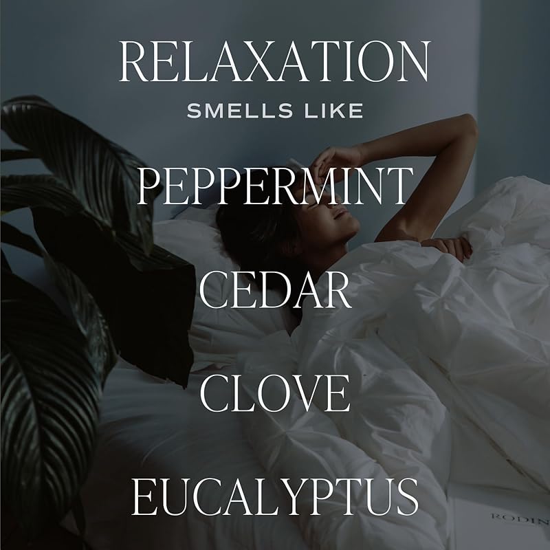 Sweet Water Decor Relaxation Reed Diffuser – Room Decor Aesthetic with Long-Lasting Premium Fragrance of Eucalyptus, Cedar, Patchouli, Vanilla 4 Months – Ideal for Aromatherapy and Home Decor
