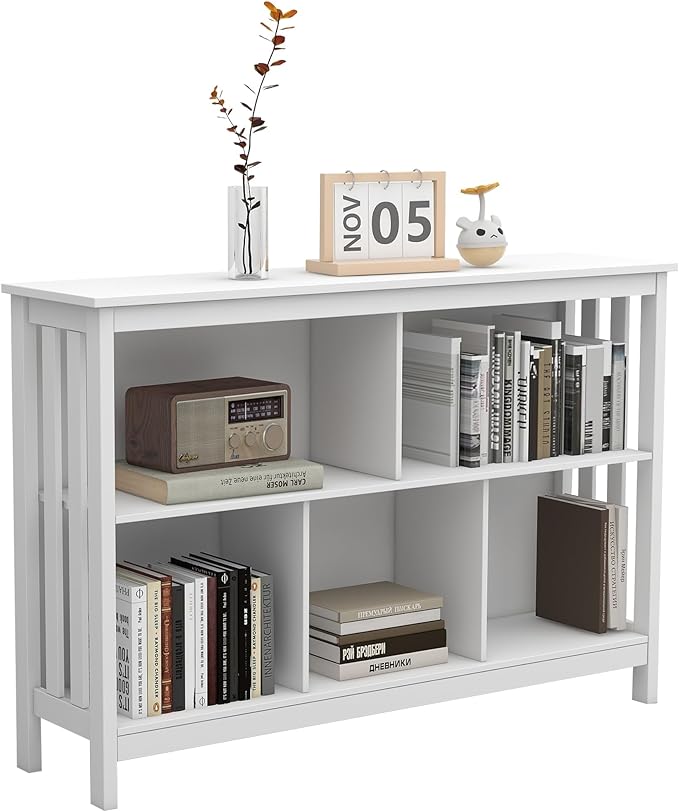 TaoHFE Horizontal Bookshelf - Modern Minimalist 2-Tier Book Shelf with Storage, Short Wide Wood Bookshelf for Classroom, Office, Living Room or Study, White