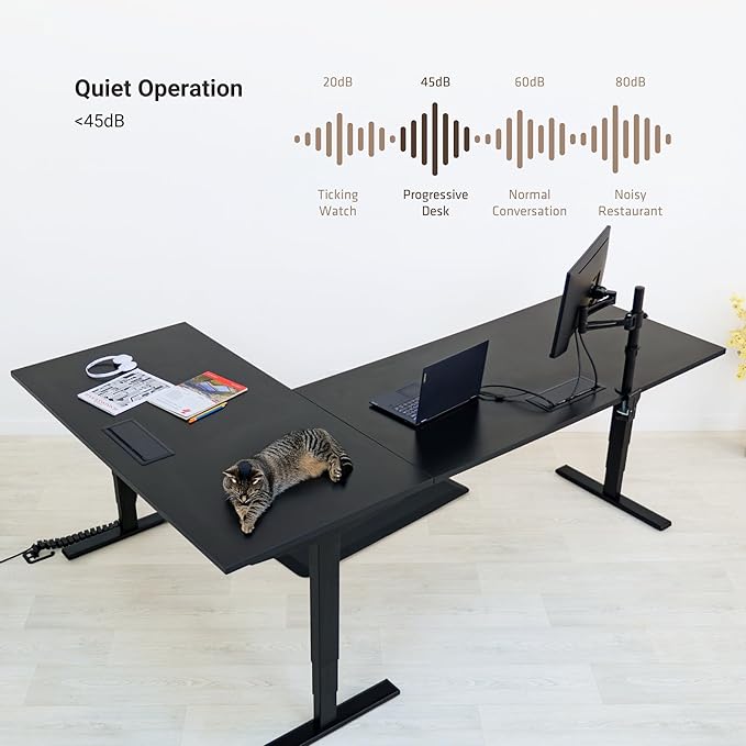 Standing Desk: FLT-05, DT-3030-EO, DT-4830-EO, DA-10-Black