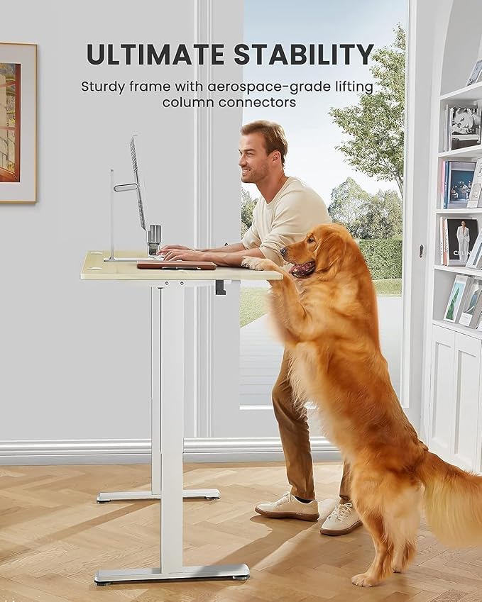 ErGear Height Adjustable Electric Standing Desk, 71 x 30 Inches Sit Stand up Desk, Memory Computer Home Office Desk Large Desk with Two-Piece Desktop (Natural)