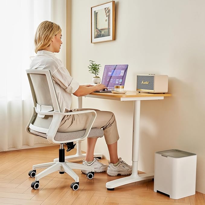 Office Chair ergonomically Designed with Breathable mesh backrest and Lumbar Support Adjustable Height Suitable for Offices Homes bedrooms Study Rooms Grey