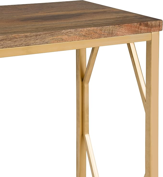 SIMPLIHOME Selma Contemporary 20 Inch Wide Metal and Wood Accent Side Table in Natural, Gold, For the Living Room and Bedroom
