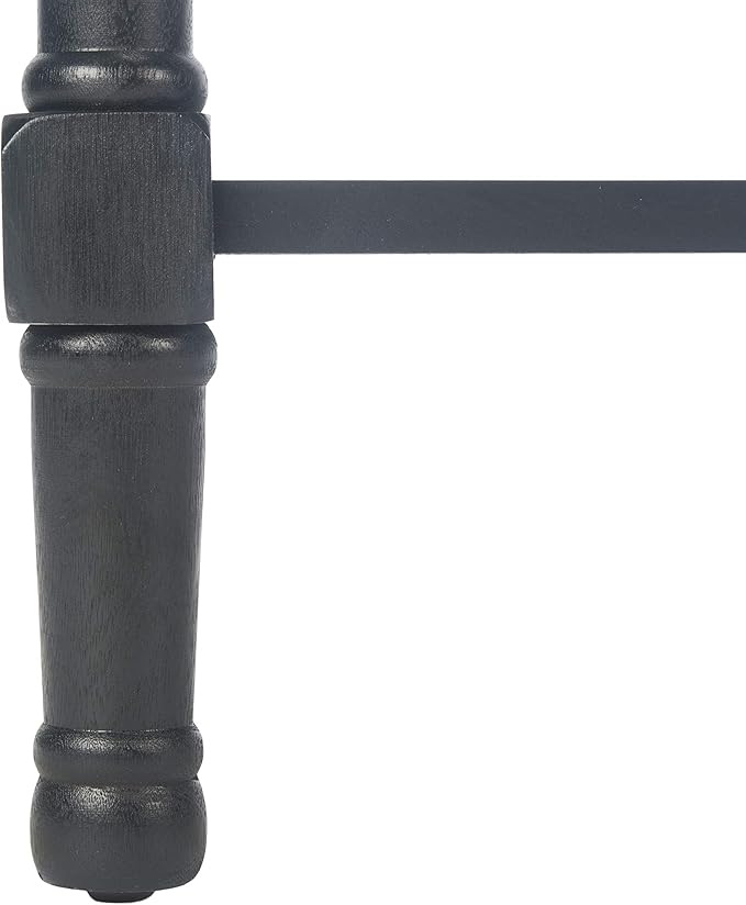 SAFAVIEH Home Collection Tate Black 2-Drawer Bottom Shelf Console Table CNS5720B