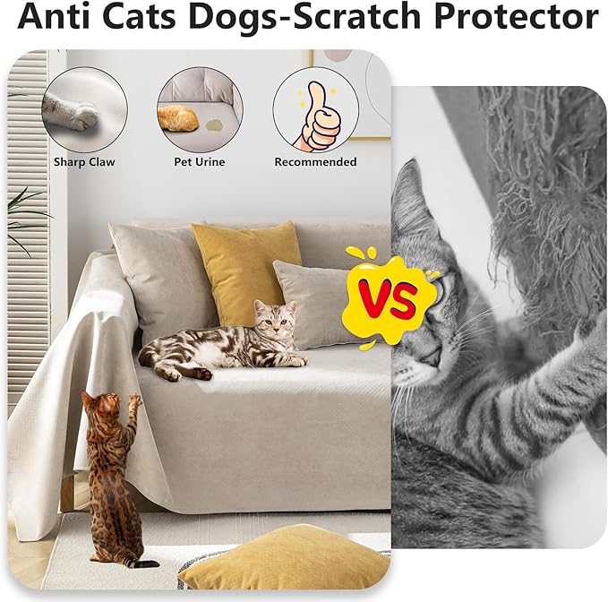 STACYPIK Waterproof Non-Slip Beige Couch Cover for Dogs, Anti-Cat Scratch Sofa Covers for Pets, Non-Slip Couch Covers for 2-3 Cushion Couch, Loveseat for Sectional Sofa, Furniture Protector-71X102IIN