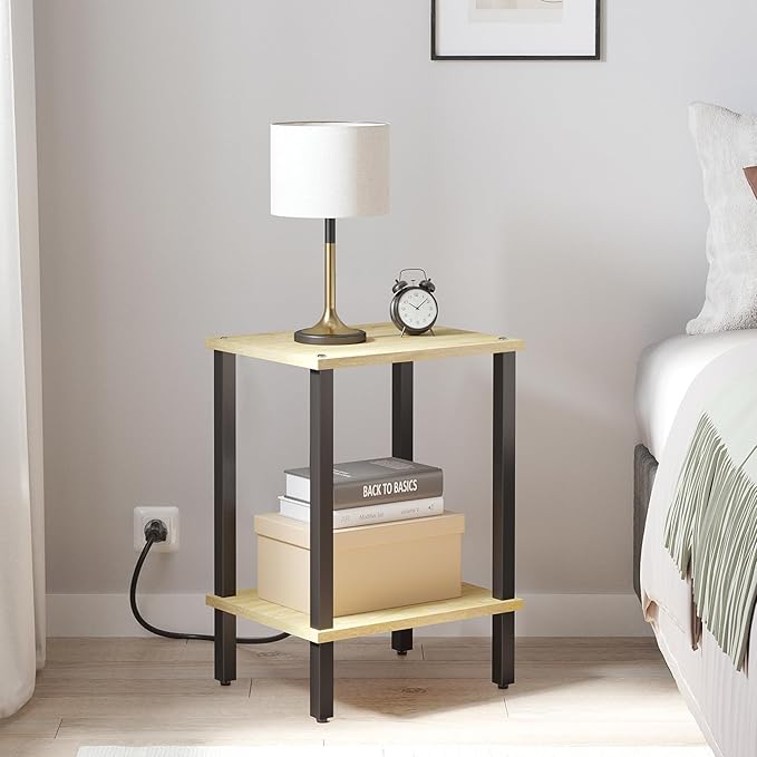 TUTOTAK End Table, Side Table, Nightstand, 2-Tier Storage Shelf, Sofa Side Table for Small Space, Living Room, Bed Room TB01BO034