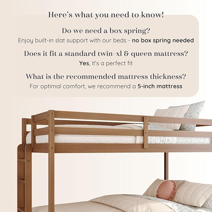 Grain & Grove Bear Twin XL Over Queen Bunk Bed, Sturdy Bunk Bed Frame for Kids, Plywood Bunk with Ladder, Guardrail, and Slats, No Box Spring Required, Oak Embossed Pecan