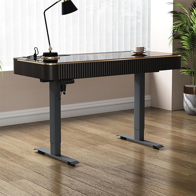 Lartis Office Desk, Electric Computer Lift Table Standing Desk with Drawer Charging USB Port, Home Office Laptop Table with Drawer