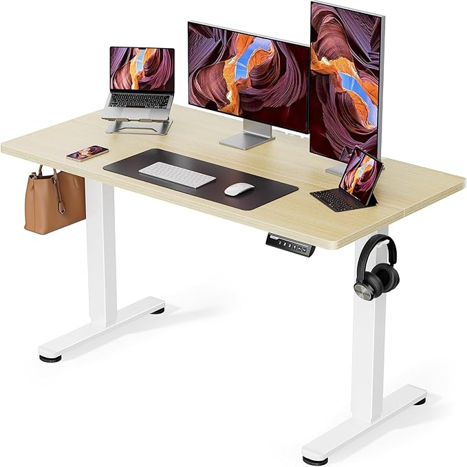 ErGear Height Adjustable Electric Standing Desk, 48 x 24 Inches Sit Stand up Desk, Memory Computer Home Office Desk with Two-Piece Desktop (Natural)