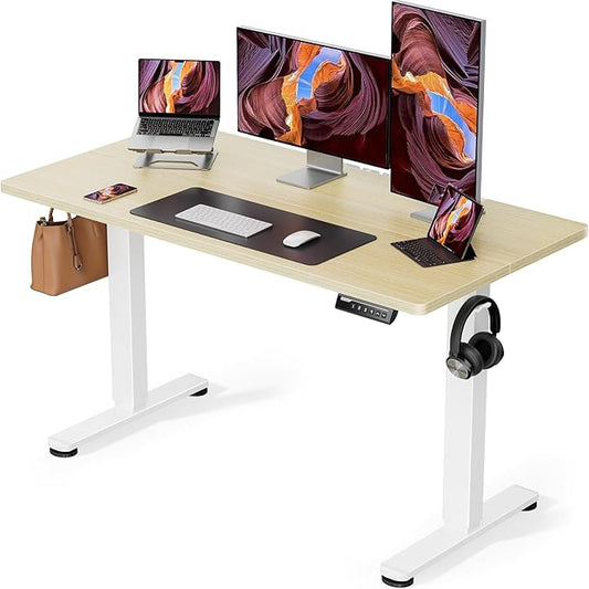 ErGear Height Adjustable Electric Standing Desk, 48 x 24 Inches Sit Stand up Desk, Memory Computer Home Office Desk with Two-Piece Desktop (Natural)