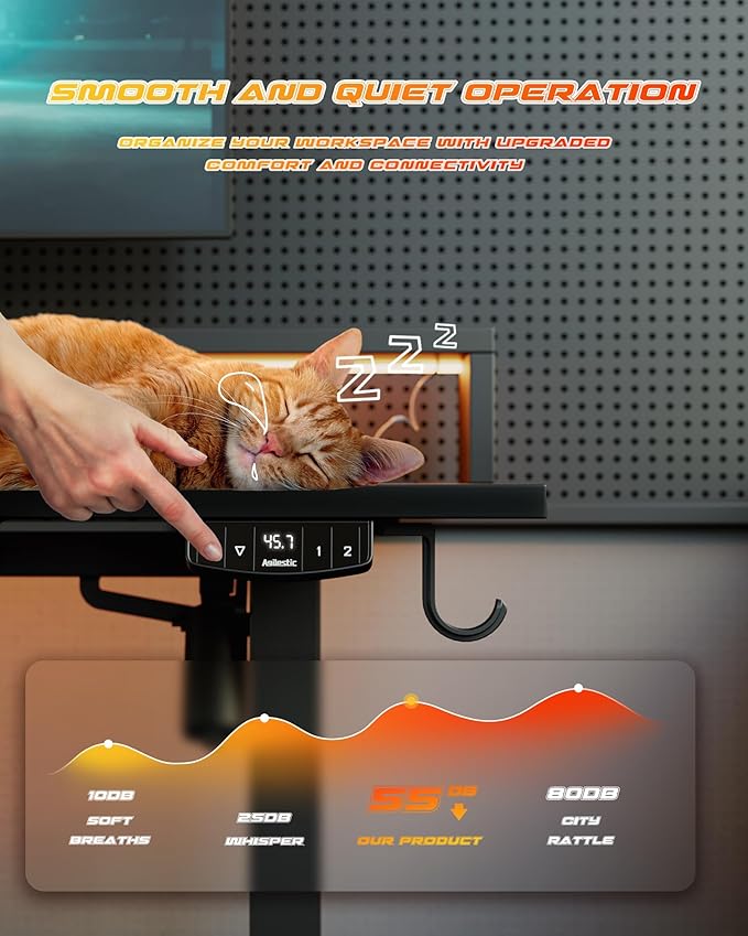 Electric Height Adjustable Standing Desk with Power Outlet and LED Light Strip, Sit to Stand, Ergonomic 48x24 Rising Desk with Memory Presets, Home Office Workstation, Computer Gaming Table, Black