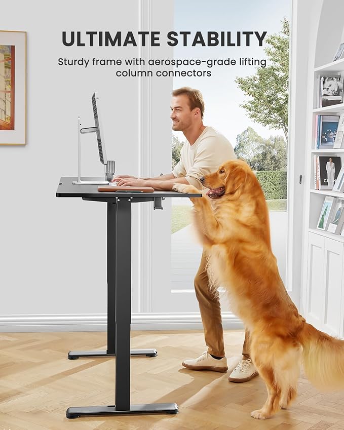 ErGear Electric 71 x 30 inch Standing Desk Workstation, Large Sit Stand up Desk, Memory Computer Home Office Desk, (Black) Ships in One Box