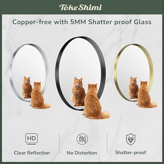 TokeShimi Oval Mirrors for Wall Decor 22x30 Inch with Non-Rusting Aluminum Alloy Brushed Silver Matte Framed Wall Mounted for Bathroom, Entryway, Living Room, Bedroom,Vanity or Horizontal