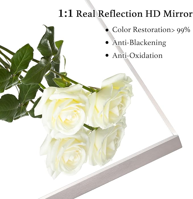 24x40 Inch Silver Bathroom Mirror - Copper-Free Mirror, Aluminum Alloy Frame Vanity Rectangle Wall Mounted Modern Mirror for Bedroom/Living Room/Porch Horizontal or Vertical
