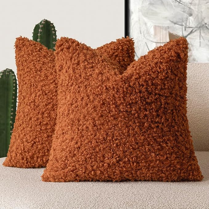 Foindtower 2 Pieces 20x20 Inch Burnt Orange, Faux Fur Throw Pillow Cover Accent Sherpa Furry Pillow Cover Fuzzy Soft Pillowcases Cozy Sheepskin Decorative Fleece Cushion Case for Bed Couch Living Room