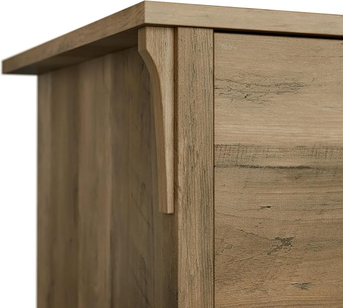 Bush Furniture Salinas Accent Storage Cabinet with Doors in Reclaimed Pine