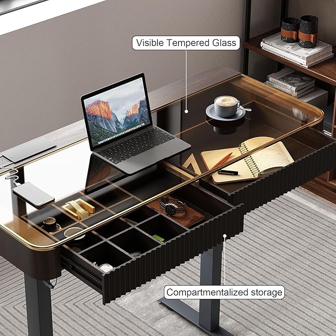 Lartis Office Desk, Electric Computer Lift Table Standing Desk with Drawer Charging USB Port, Home Office Laptop Table with Drawer