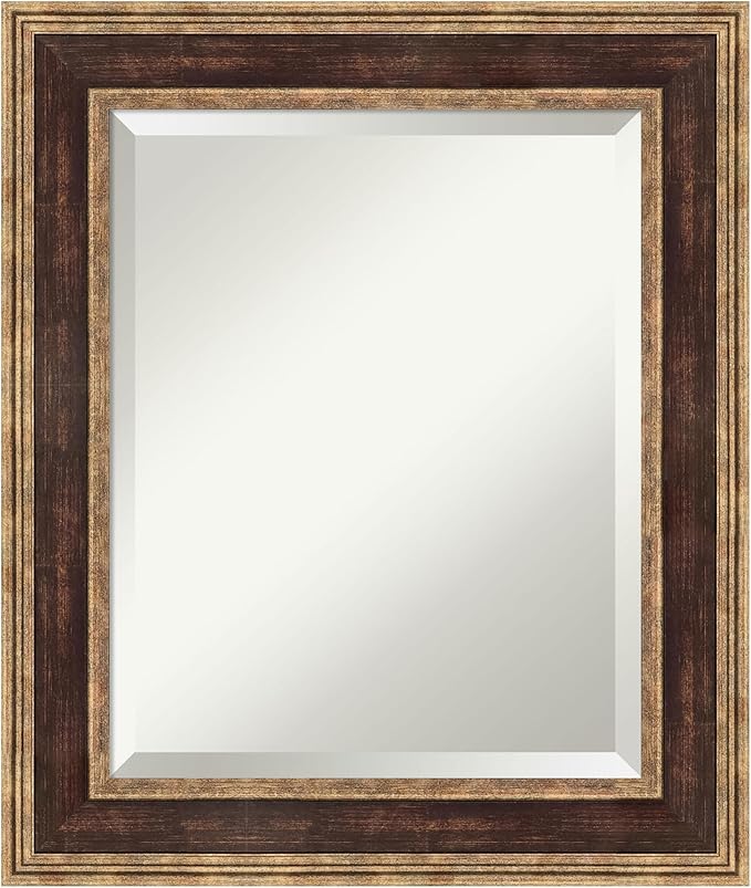 Amanti Art Bronze Bathroom Mirror for Over Sink, 26x22 Ridge Light Bronze Rectangle Vanity Mirror, Small Traditional Frame, Hangs Horizonally and Vertically, Bathroom Wall Decor, Beveled Edge
