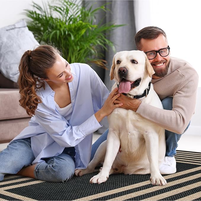 Lahome Modern Geometric Easy Jute Outdoor Rug, 5x7 Patio Living Room Rug Large Black Carpet for Bedroom, Farmhouse Washable Indoor Outdoor Carpet for Dining Room Backyard Deck