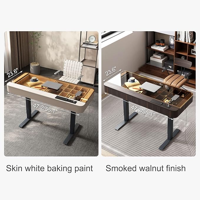 Lartis Office Desk, Electric Computer Lift Table Standing Desk with Drawer Charging USB Port, Home Office Laptop Table with Drawer