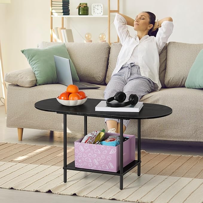 ETELI Black Coffee Tables for Living Room 2-Tier Small Oval Coffee Table Wood Accent Coffe Tables with Storage Shelf Modern Mesa De Centro Sala for Small Space, Home Office