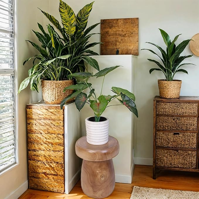 TORMAYS HOME Handmade Wood Side Table Tree Stump End Table Solid Wood Stool Plant Stand Rustic Coffee Table Nightstand for Living Room Bedroom Balcony Garden (Natural Color)