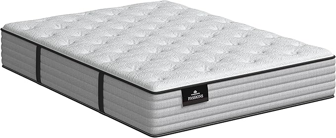 Kingsdown Passions Imagination Plush Mattress, King