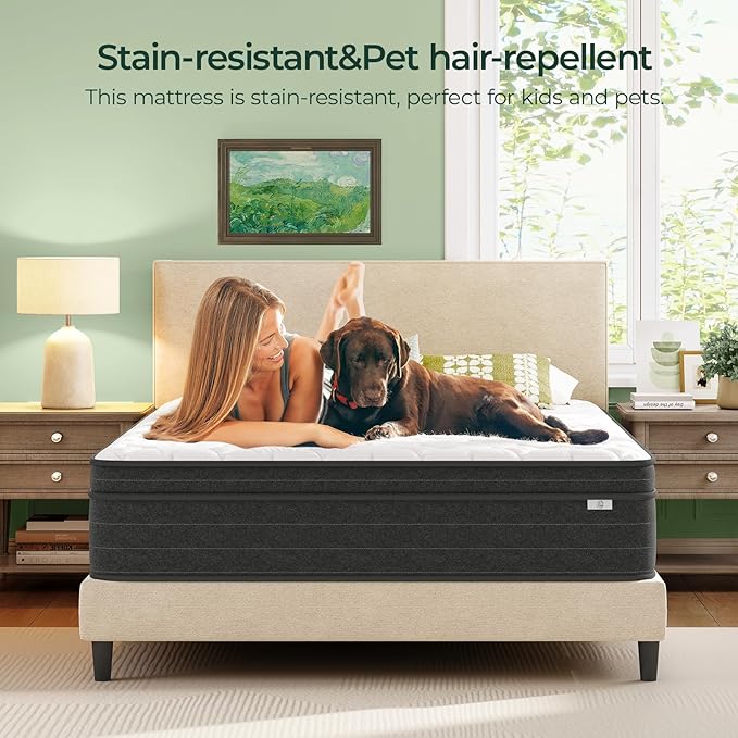 Twin Mattress 10 Inch in a Box - Memory Foam & Pocket Spring Hybrid Mattress for Back Pain Relief, Cool Breathable Fiberglass-Free Cover, Medium Firm, CertiPUR-US Certified