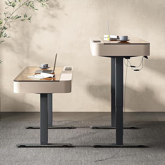 Lartis Office Desk, Electric Computer Lift Table Standing Desk with Drawer Charging USB Port, Home Office Laptop Table with Drawer