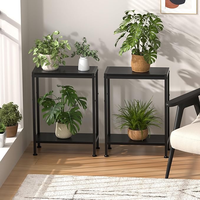 Narrow Side Table for Small Space, 2-Tier Small End Table with Shelf Holder in Living Room, Bedroom, Study, Kitchen and Balcony (Black)