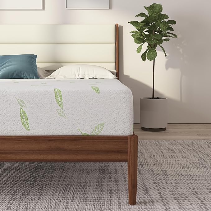 NapQueen Queen Size, 6 Inch Anula Green Tea Infused Memory Foam Mattress, Bed in a Box, CertiPUR-US Certified Mattress