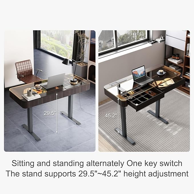 Lartis Office Desk, Electric Computer Lift Table Standing Desk with Drawer Charging USB Port, Home Office Laptop Table with Drawer