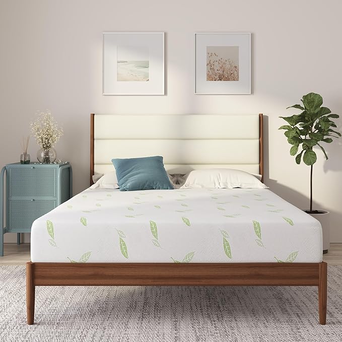 NapQueen Queen Size, 8 Inch Anula Green Tea Infused Memory Foam Mattress, Bed in a Box, CertiPUR-US Certified Mattress