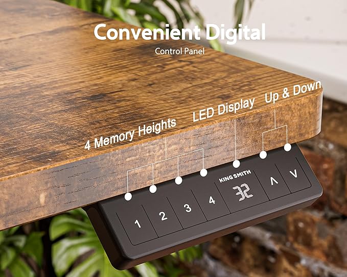 48x24 Inches Electric Standing Desk With Drawer and Monitor Stand, Height Adjustable for Home Office, Ergonomic Sit to Stand With Phone Holder, 3 Hooks, Rustic Brown