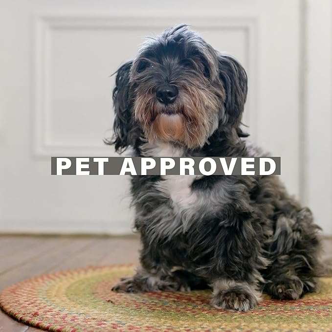 Azalea Multicolor Braided Area Rug, Jute, 6x9' Rectangle - Perfect Country Primitive Decor for Dining Room, Living Room, Everywhere