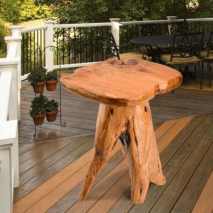 Mushroom Side Table, 18.9 inch Tall Live Edge Wood Stool, Freeform Natural Plant Stand for Garden, Yard, Living Room, Bedroom
