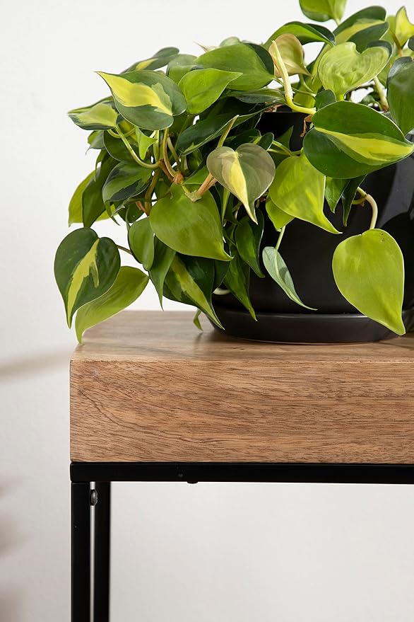 Kate and Laurel Karlsen Wood and Metal Narrow Side Table; 16 x 24 x 8; Natural Brown and Black; Modern Transitional Slim Nightstand with Mixed Materials Design