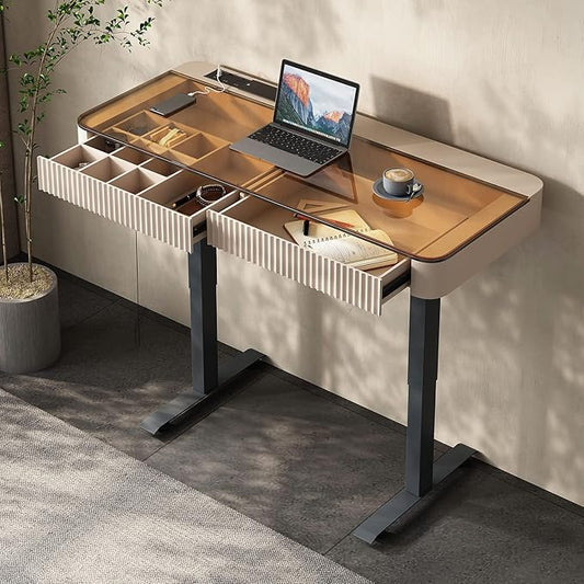 Lartis Office Desk, Electric Computer Lift Table Standing Desk with Drawer Charging USB Port, Home Office Laptop Table with Drawer