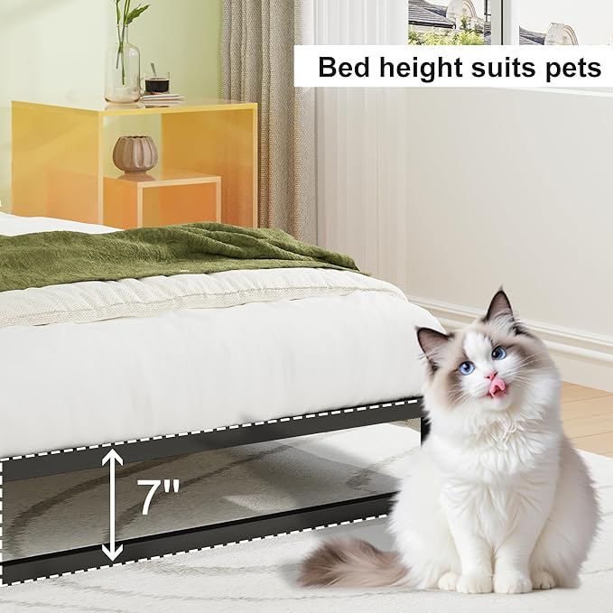 EMODA 7 Inch Twin Bed Frames No Box Spring Needed, Heavy Duty Metal Twin Platform Bed Frame, Noise Free, Easy Assembly, Black