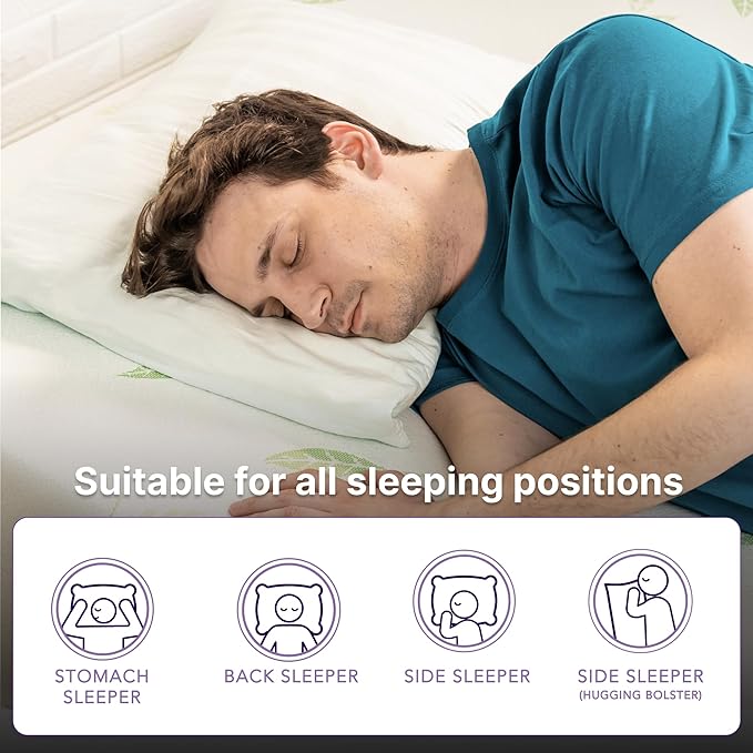 NapQueen Queen Size, 6 Inch Anula Green Tea Infused Memory Foam Mattress, Bed in a Box, CertiPUR-US Certified Mattress