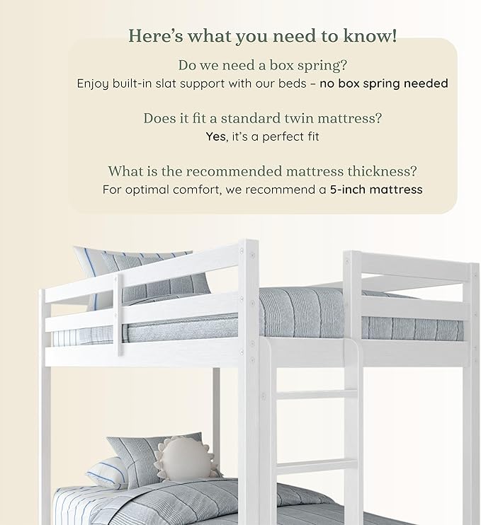 Grain & Grove Bear Twin Over Twin Bunk Bed, Sturdy Bunk Bed Frame for Kids, Plywood Bunk with Ladder, Guardrail, and Slats, No Box Spring Required, Brushed White