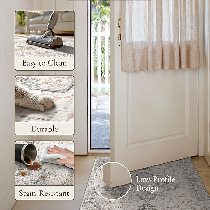GENIMO Area Rug 2x3 Doormat, Machine Washable Low Pile Rugs, Small Retro Chenille Entryway Mat for Entrance, Hallway, Kitchen and Corridor, Light Taupe Brown