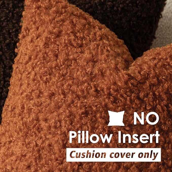 Foindtower 2 Pieces 20x20 Inch Burnt Orange, Faux Fur Throw Pillow Cover Accent Sherpa Furry Pillow Cover Fuzzy Soft Pillowcases Cozy Sheepskin Decorative Fleece Cushion Case for Bed Couch Living Room