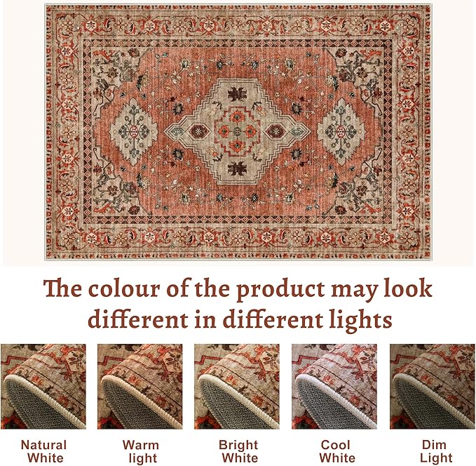 Tangsoo 5x7 Area Rug Washable for Living Room, Vintage Rug Indoor Non Slip Large Area Rugs, Print Distressed Terracotta Carpet, Soft Low Pile Rug Foldable Floor Rugs for Bedroom Dining Room Dorm