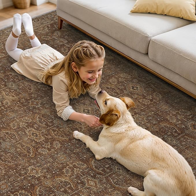10X12 Area Rugs Machine Washable Rugs for Living Room, Vintage Boho Large Rugs for Bedroom Dining Room, Non Slip Indoor Soft Distressed Lightweight Thin Low Pile Carpet, Rustic Brown